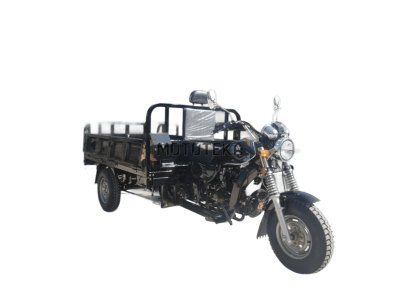 Трицикл грузовой Мотомир AGIAX 2 250 куб. см. ВОДЯН.ОХЛ. кузов 2м чёрный с ПТС